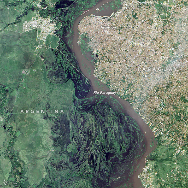 Click to enlarge Floods from the Paraguay River, 12 January 2016.