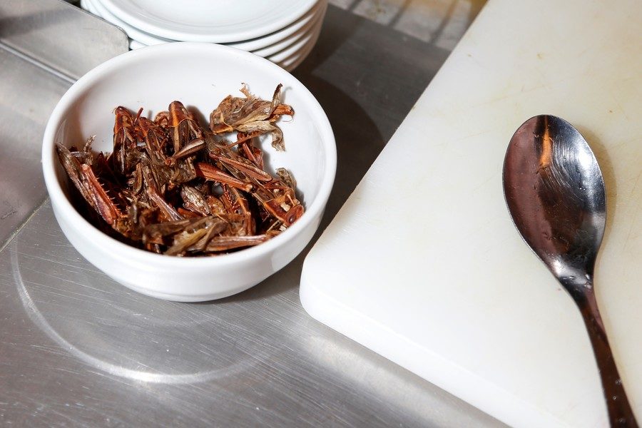 Salted grasshoppers