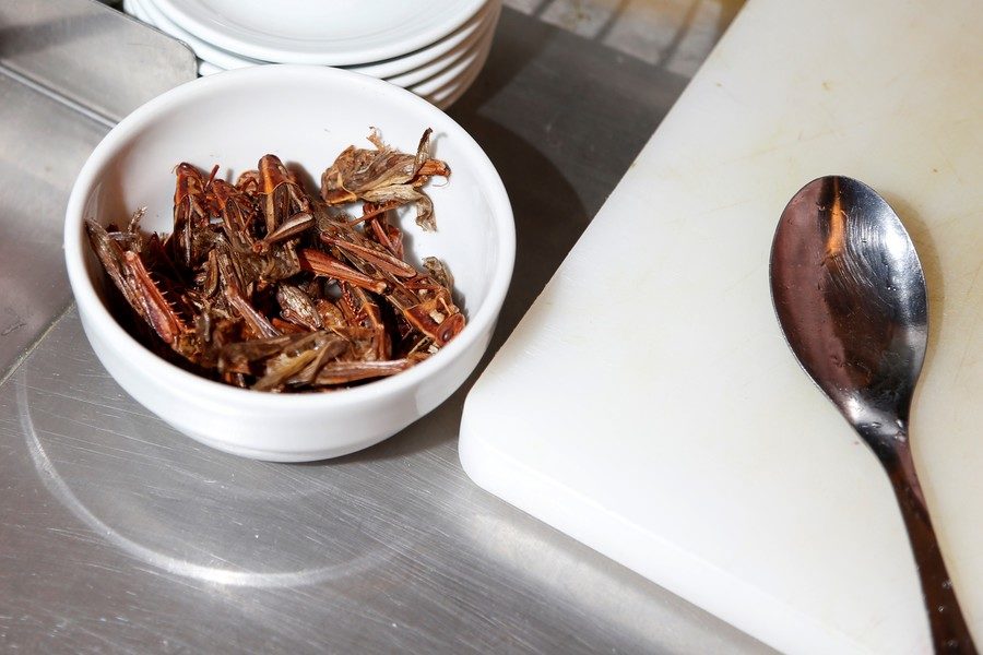 Click to enlarge Salted grasshoppers