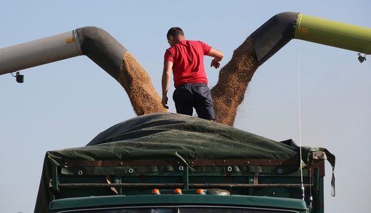 Russian wheat production rockets while US share crashes