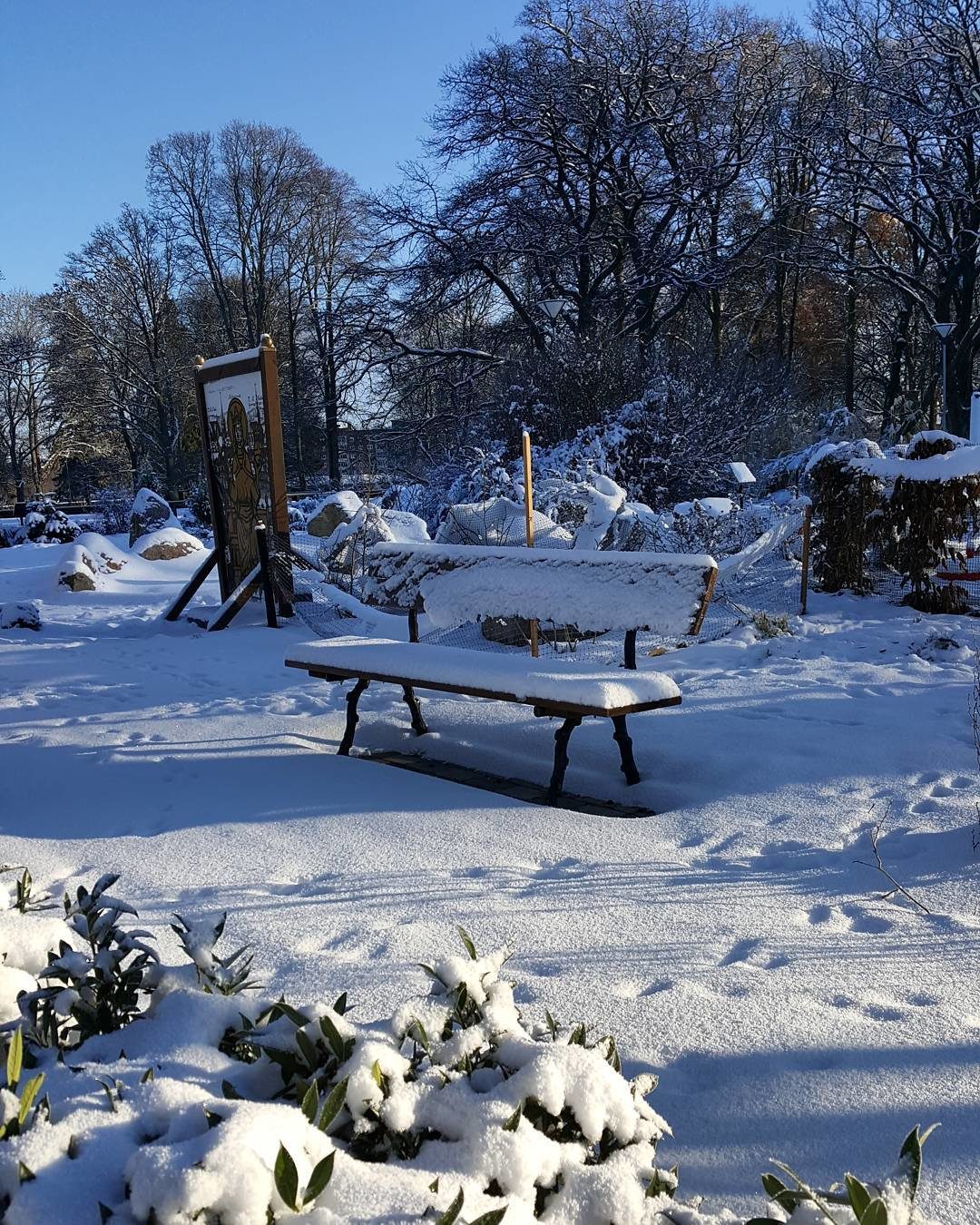 Click to enlarge snow