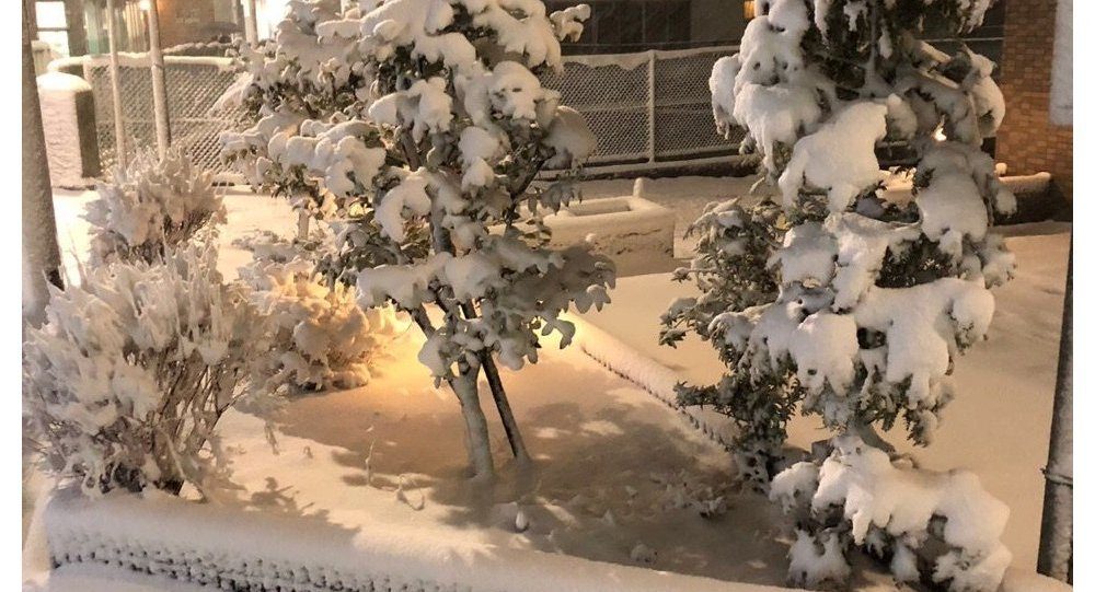Click to enlarge japan snow