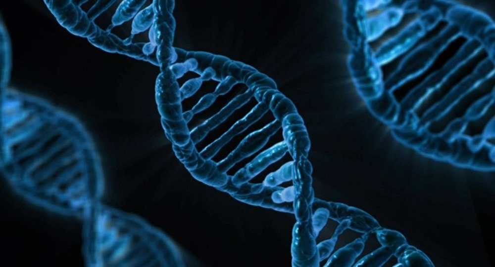 genetic material