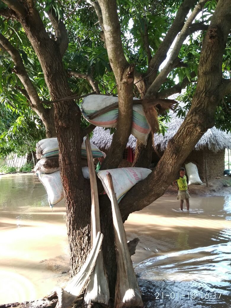 Flooding in Nampula, Mozambique.