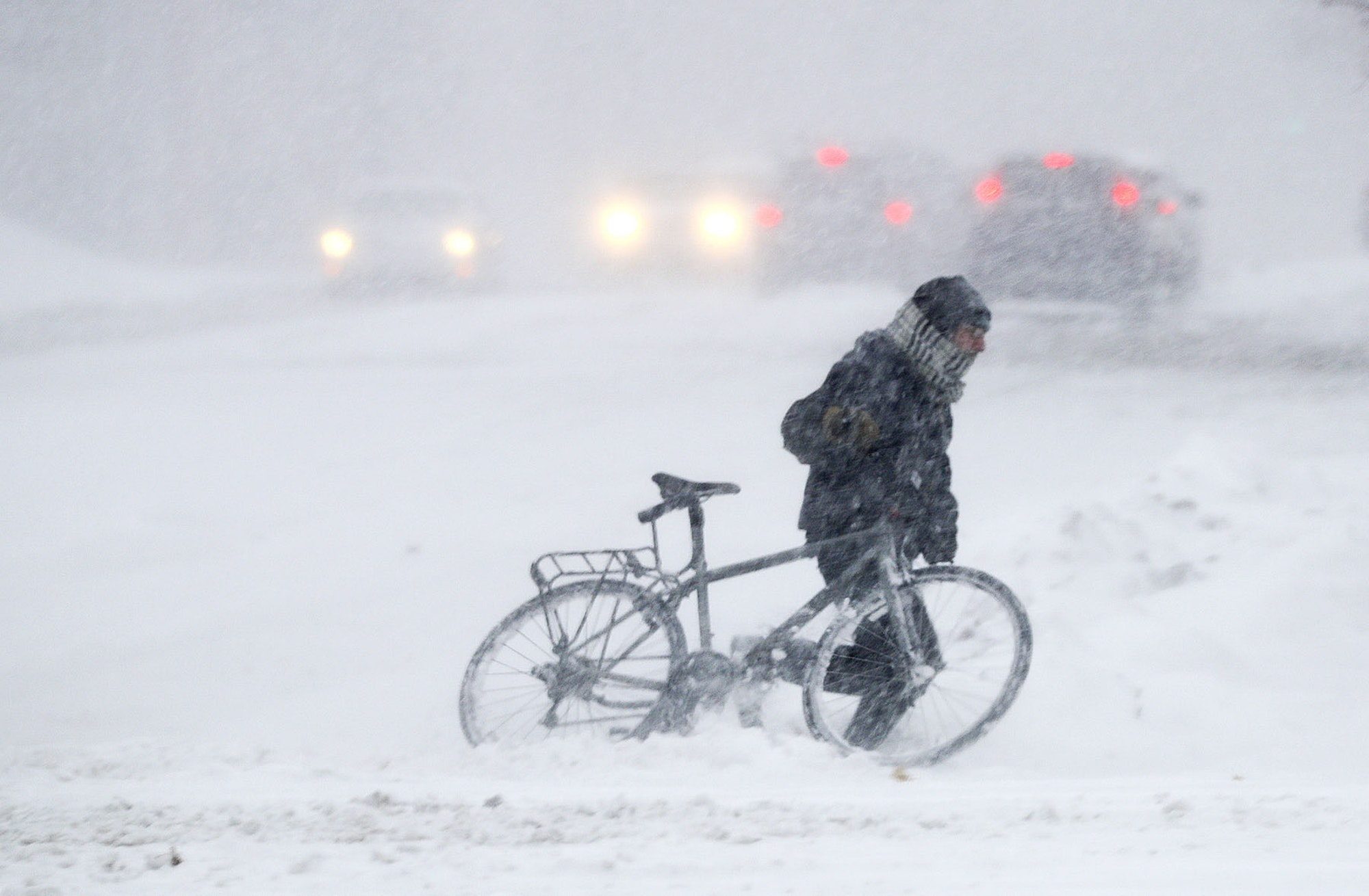 Click to enlarge As the snow piled up in downtown St. Paul, this biker seemed to be caught a little off guard as he tried to navigate across W. 7th Street.