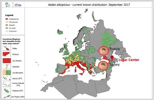 Aedes Albopictus distribution