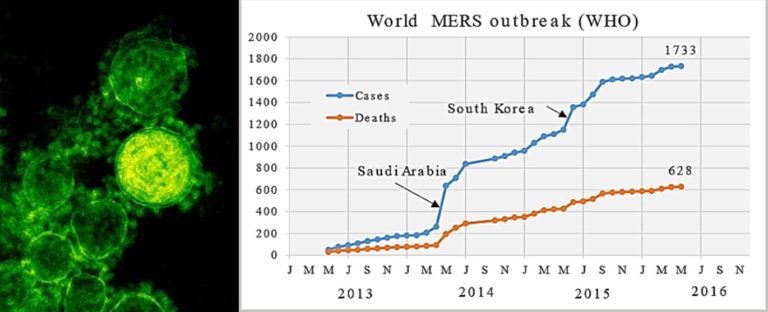 MERS deaths