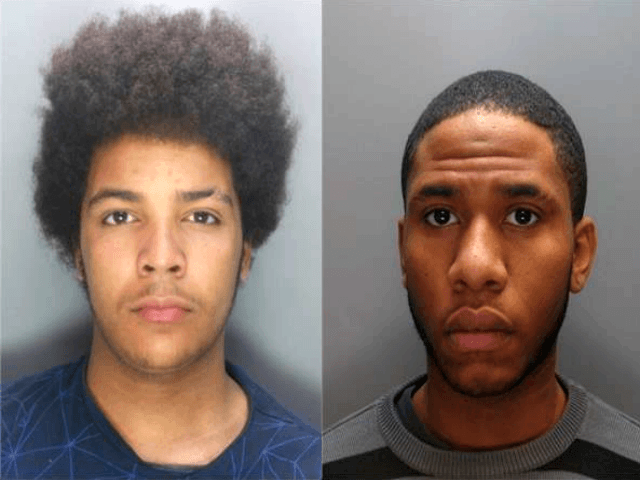 Hertfordshire acid attacks