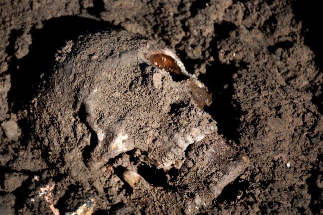 skull mass grave