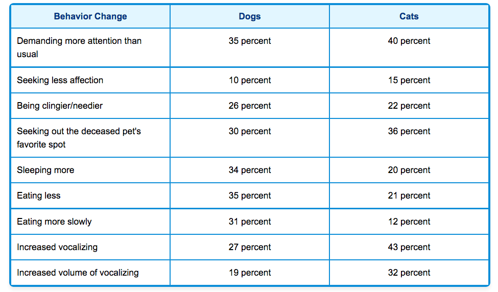 Click to enlarge behavior changes pet grief