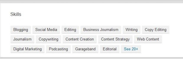 Click to enlarge Solon's LinkedIn bio