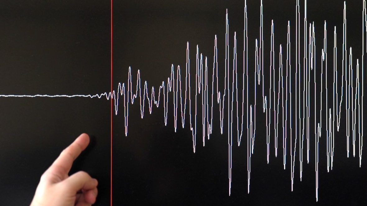 Earthquake seismograph