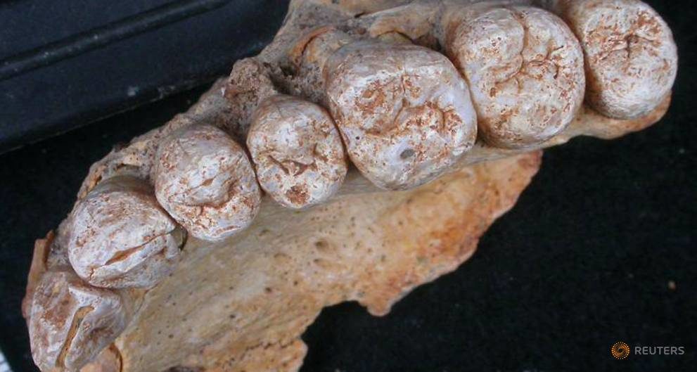 oldest human remains found israel