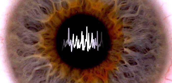Mouse pupil