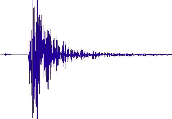 Seismogram of the earthquake as recorded in Lorengau on Manus island
