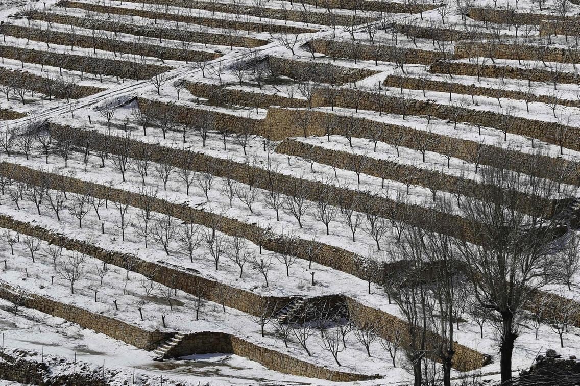Click to enlarge snow