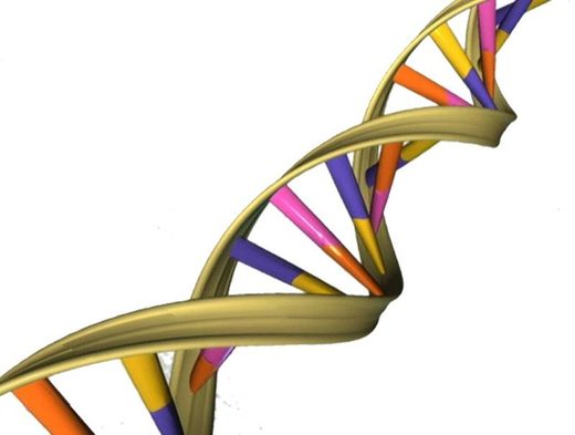 dna helix
