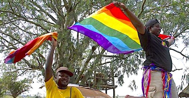 gay flags