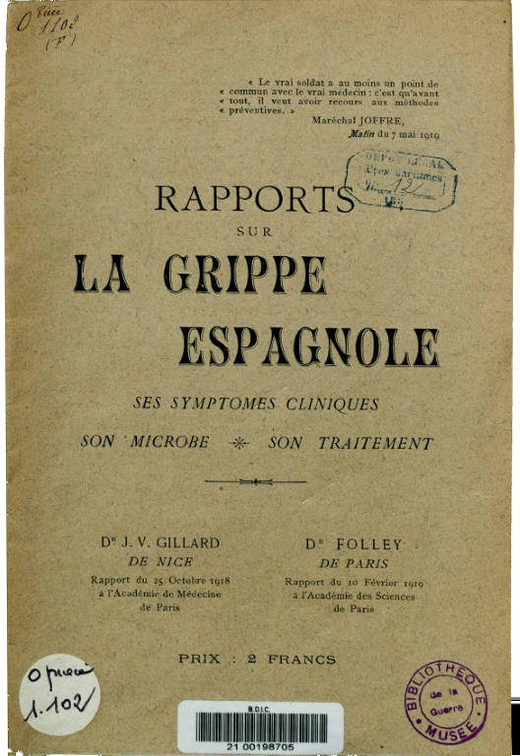 1918 Spanish Flu report