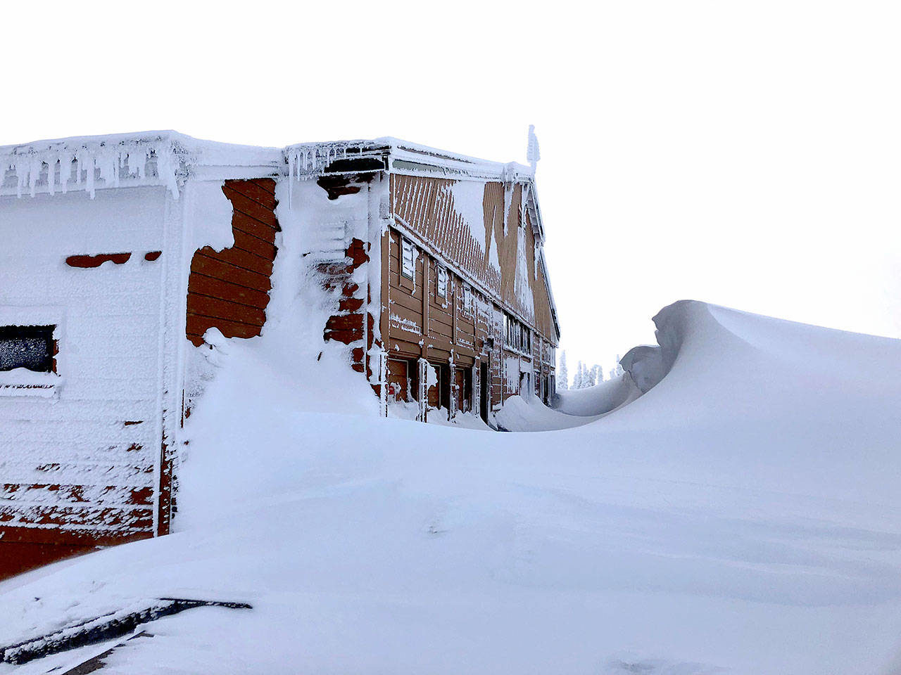 Fourteen-foot snow drifts were sculpted by high wind near the visitor center at Hurricane Ridge in the photograph taken Friday.