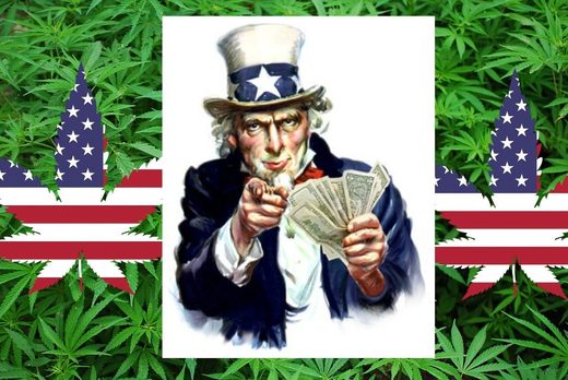 cash crop