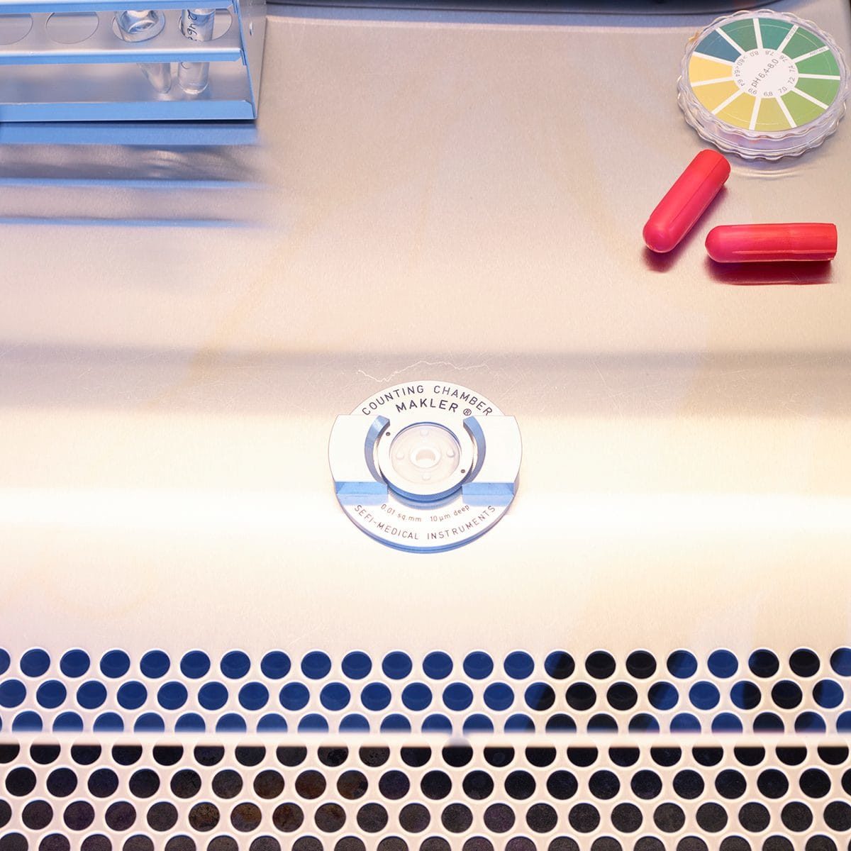 Click to enlarge sperm-counting chamber.