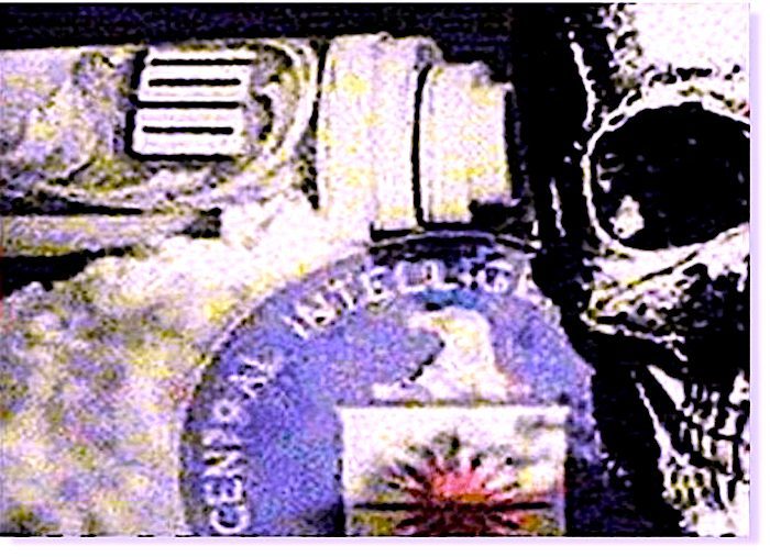 Click to enlarge CIAmoneyskull