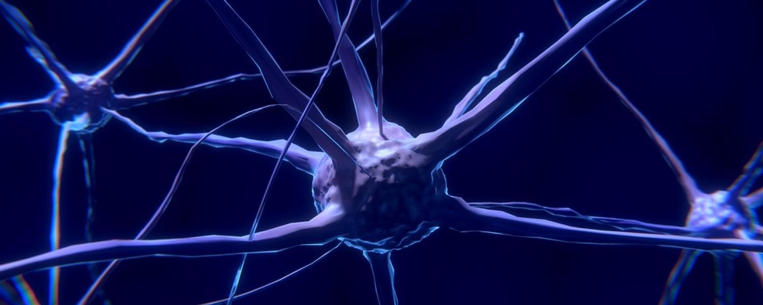 Click to enlarge Neuron