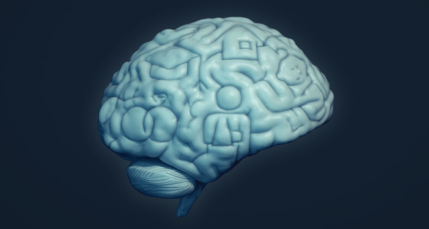 Click to enlarge Brain Memories 1
