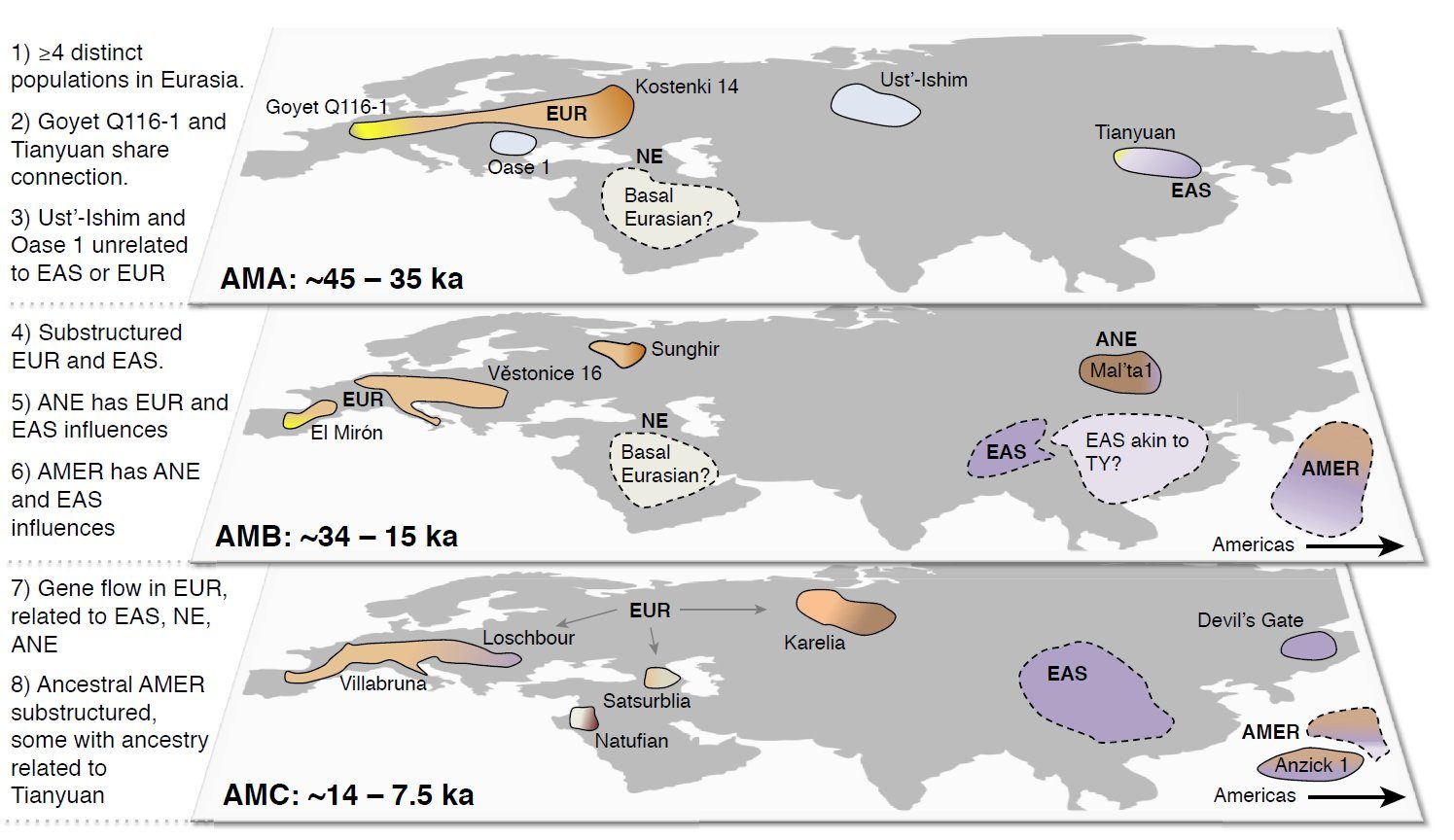 Schematic of populations in Eurasia