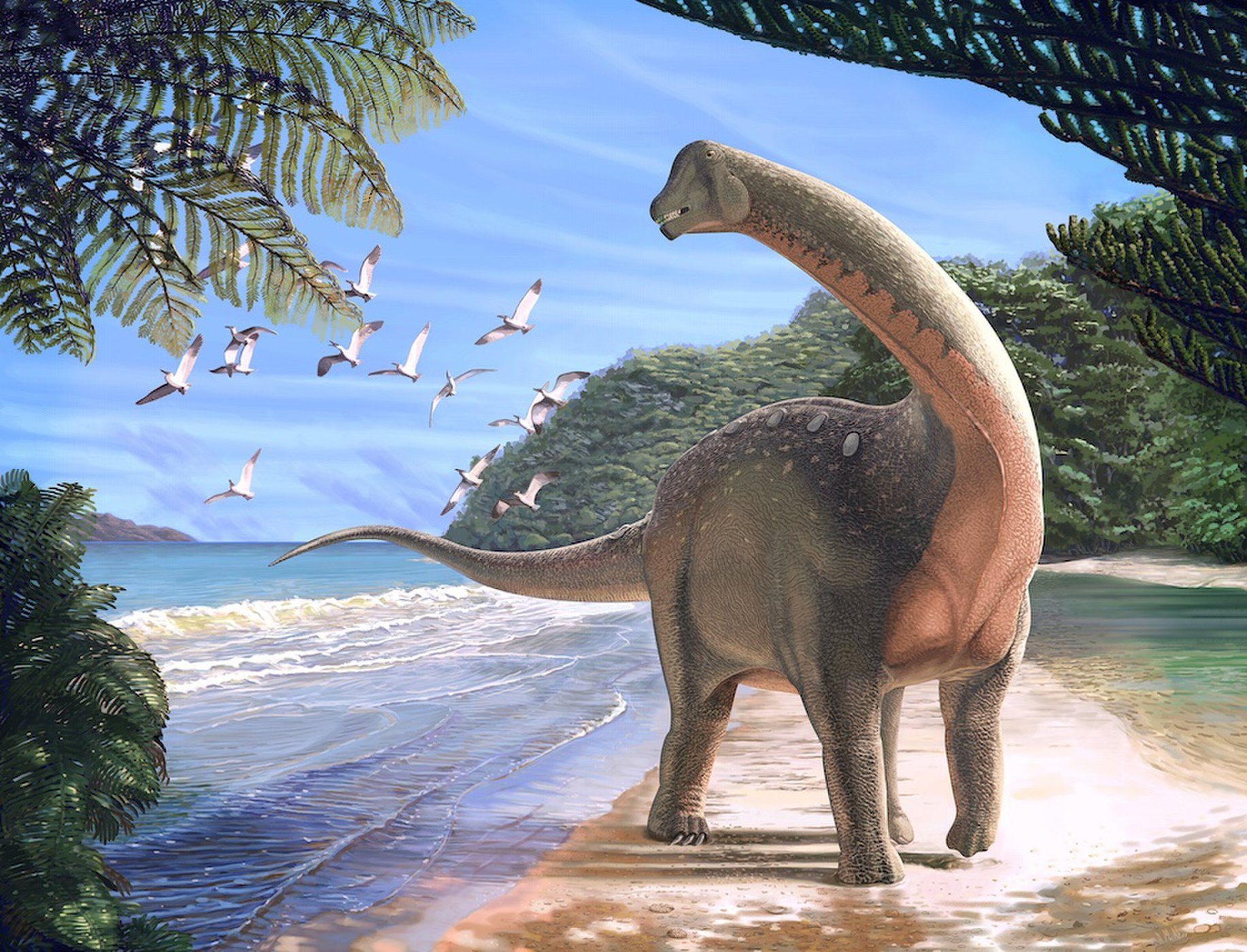 africa dinosaur Mansourasaurus