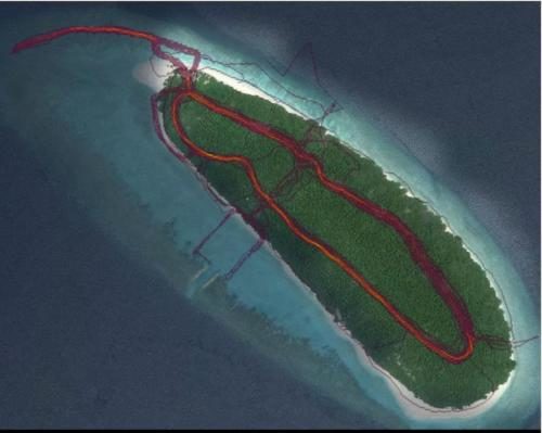 Click to enlarge strava heat map unidentified island