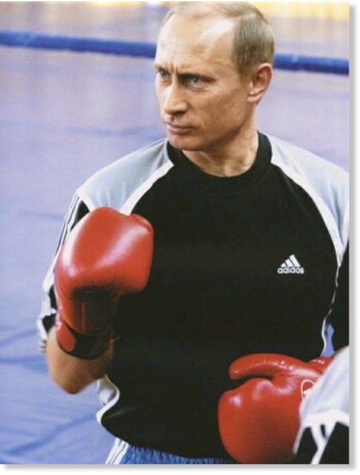 Click to enlarge Putin boxing