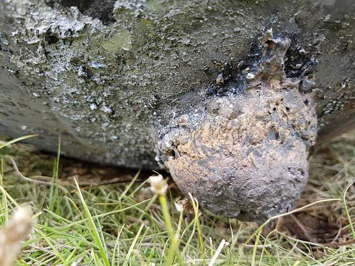 Click to enlarge Satellite