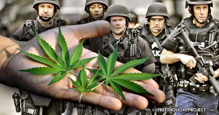 Click to enlarge Cops marijuana police weed