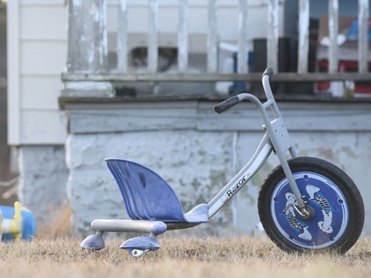 toys in yard