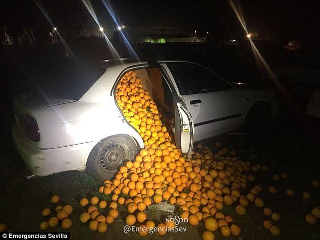 stolen oranges