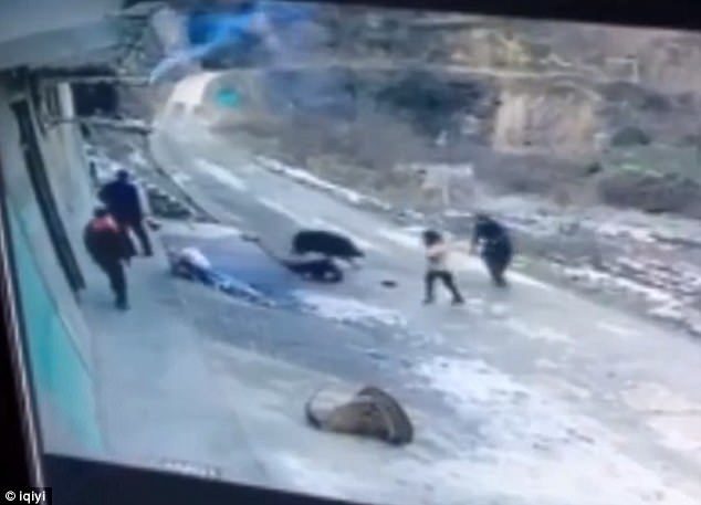 Click to enlarge They try to use shovels to draw the boar's attention away from the 66-year-old Zhang