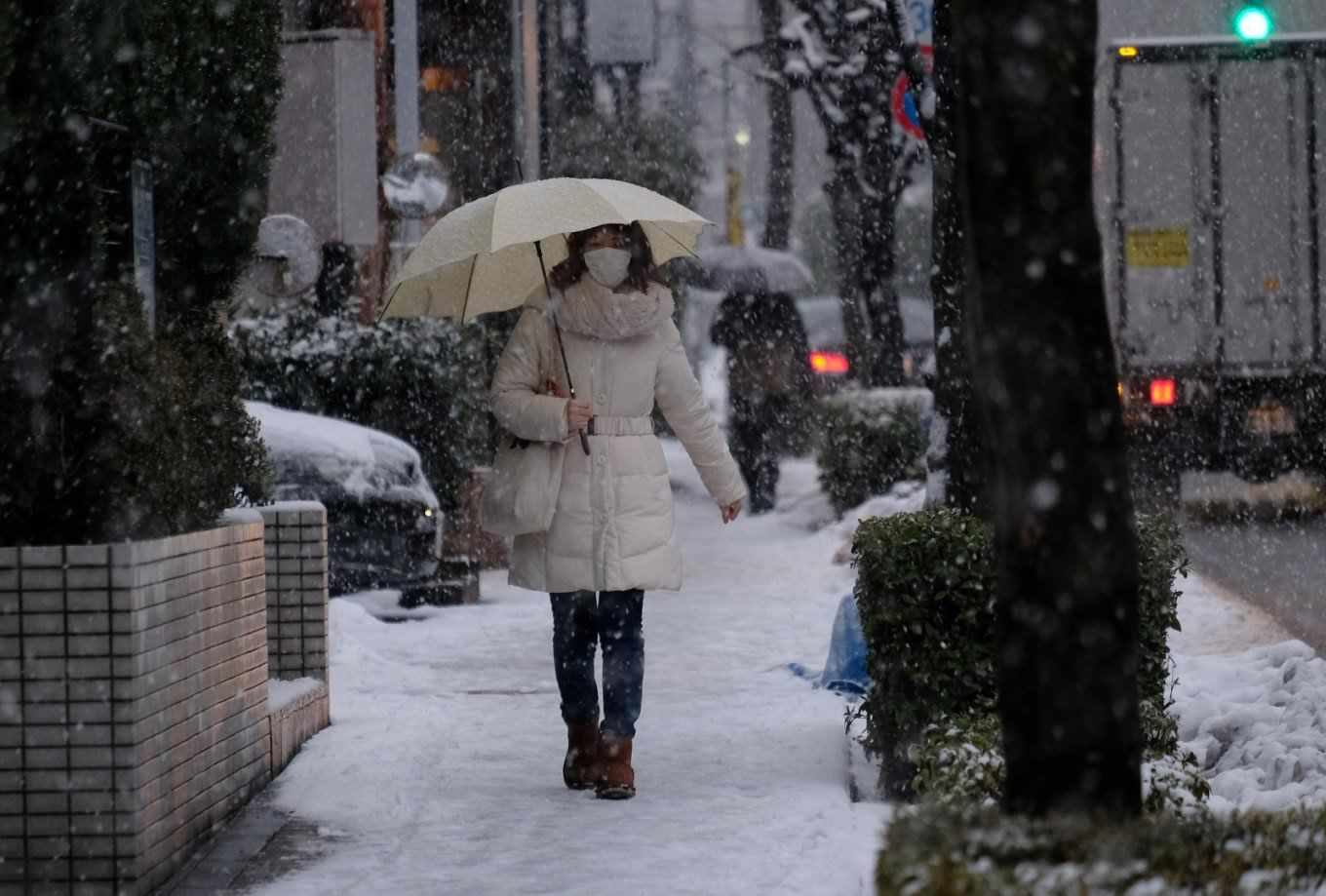 Snow in Tokyo 2018
