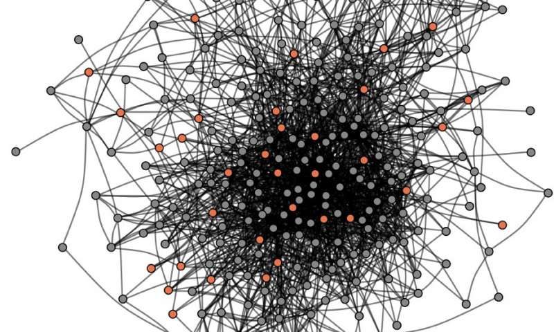 First-year graduate students social network survey