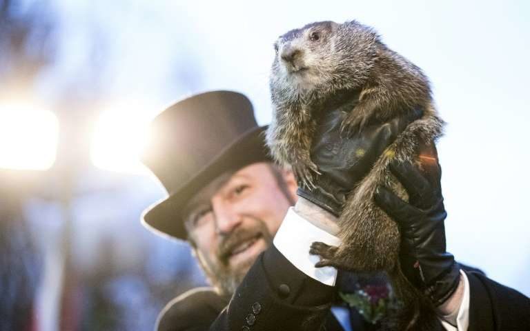 Punxsutawney Phil