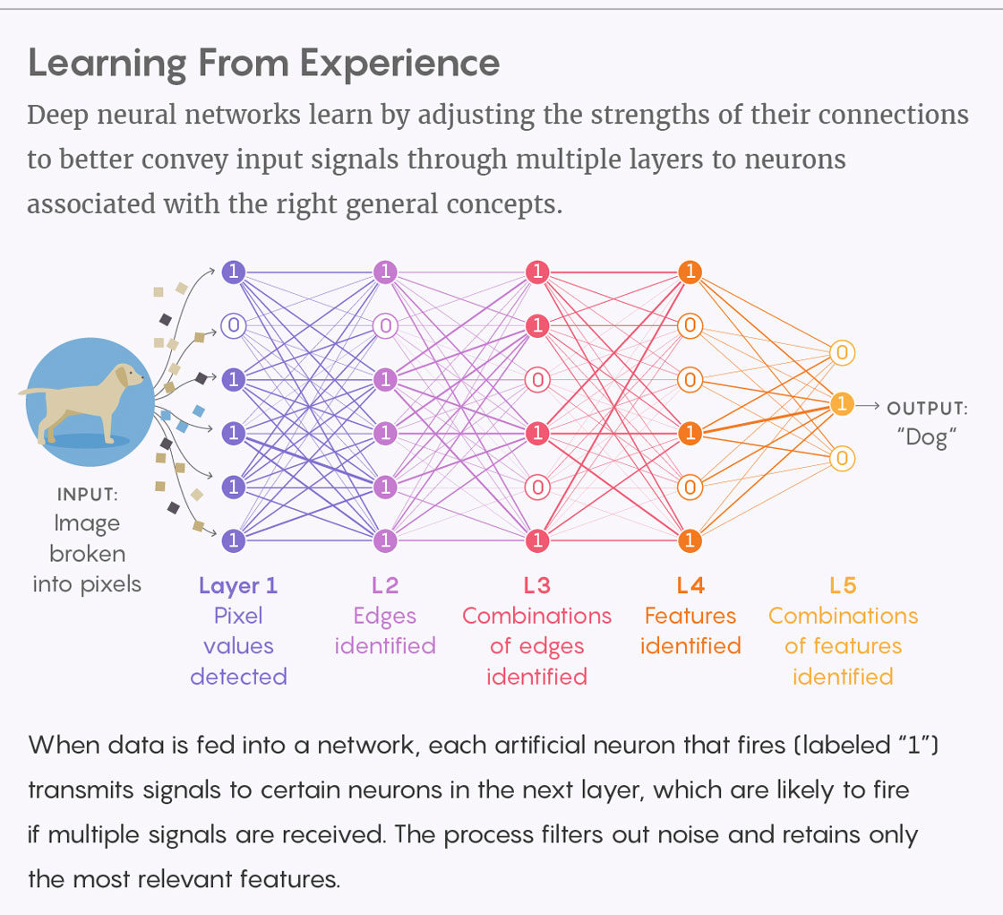 Lucy Reading Quantum processing