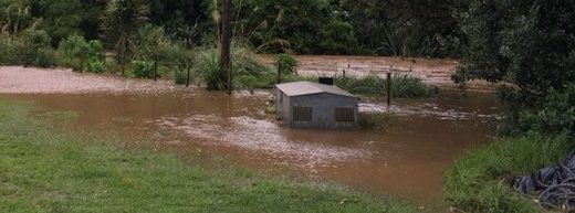 flash flood auckland new zealand february 2018
