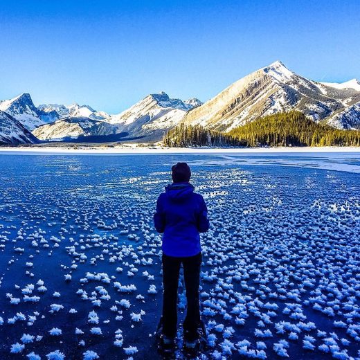Click to enlarge Alberta