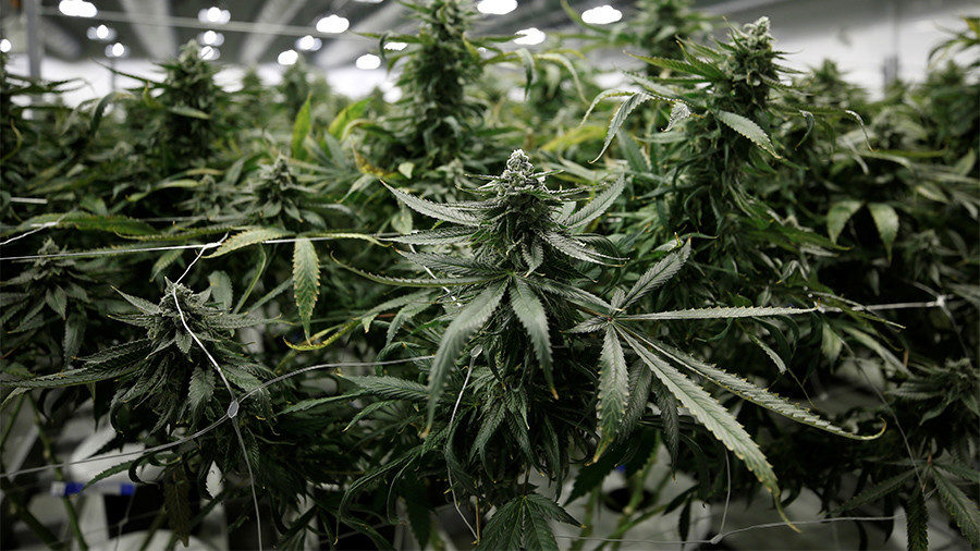 Click to enlarge marijuana dispensary