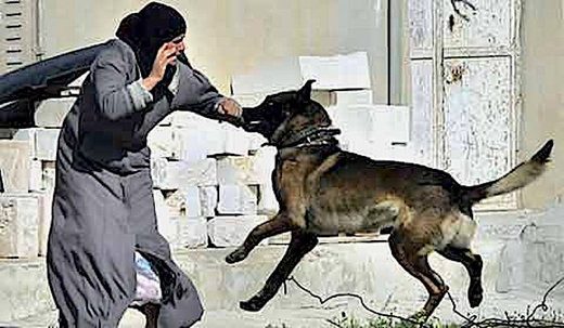 Palestinian woman, dog