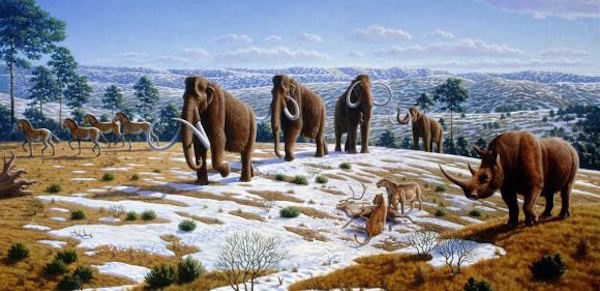 Click to enlarge Pleistocene of Northern Spain