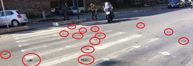 Click to enlarge dead birds