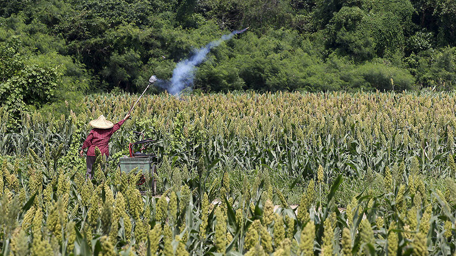 Taiwan farming