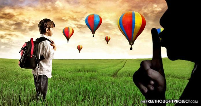 hot air balloons